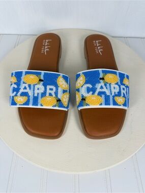 NWOT Nicole Miller NY Destin Capri Blue White Lemon Beaded Slide Sandals Sz7